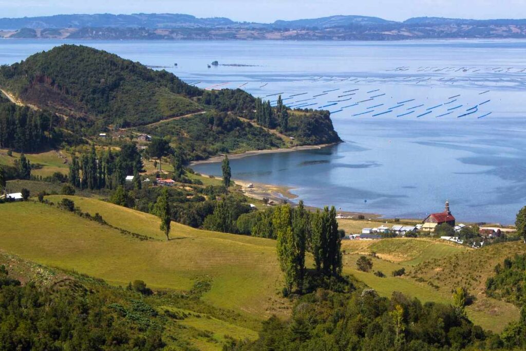 Línea Tineo - Nueva Ancud en Chiloé